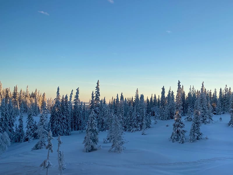Utsikten vid test av Zeiss skidglasögon